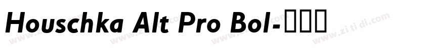 Houschka Alt Pro Bol字体转换